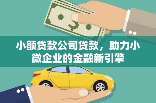 临高小额贷款公司贷款，助力小微企业的金融新引擎