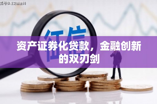 临高资产证券化贷款，金融创新的双刃剑