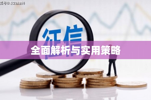 临高全面解析与实用策略