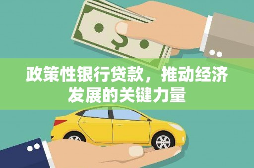 临高政策性银行贷款，推动经济发展的关键力量