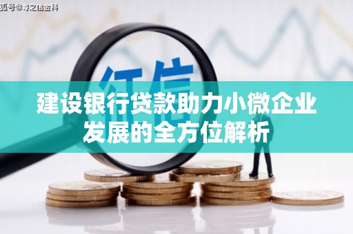 临高建设银行贷款助力小微企业发展的全方位解析