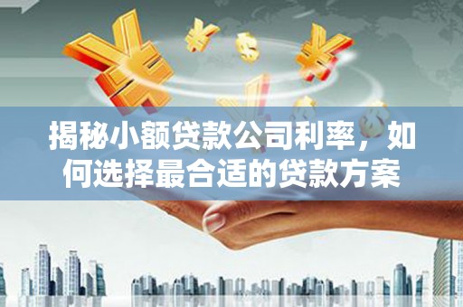 临高揭秘小额贷款公司利率，如何选择最合适的贷款方案