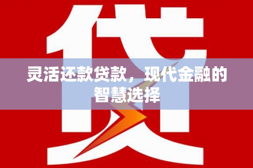 临高灵活还款贷款，现代金融的智慧选择