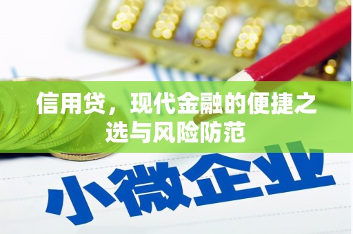 临高信用贷，现代金融的便捷之选与风险防范