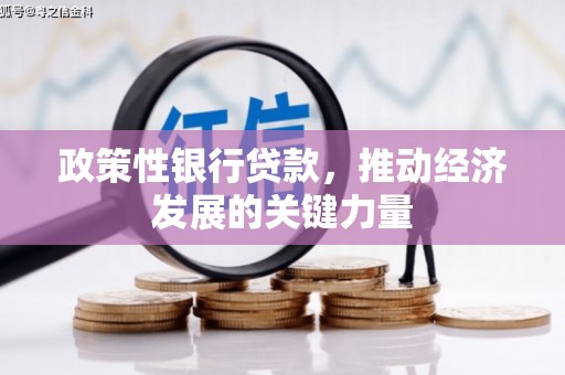 临高政策性银行贷款，推动经济发展的关键力量