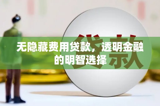 临高无隐藏费用贷款，透明金融的明智选择