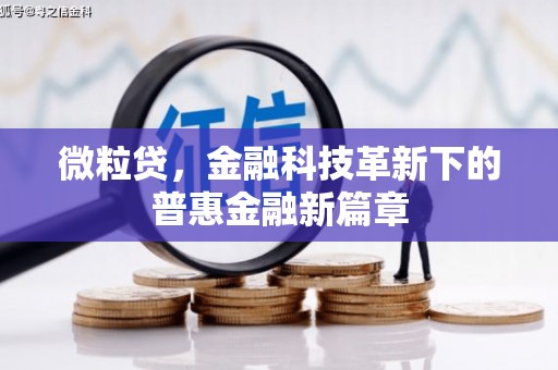 临高微粒贷，金融科技革新下的普惠金融新篇章