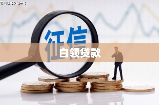 临高白领贷款