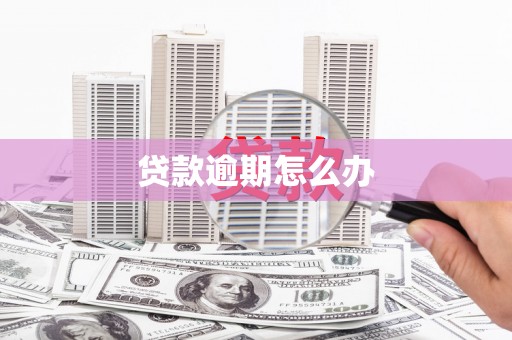临高贷款逾期怎么办