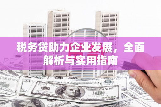 临高税务贷助力企业发展，全面解析与实用指南