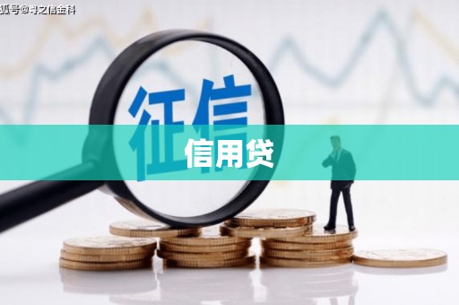临高信用贷
