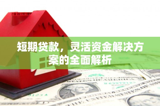临高短期贷款，灵活资金解决方案的全面解析