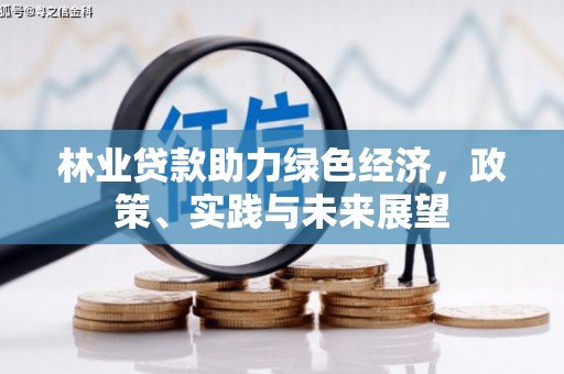 临高林业贷款助力绿色经济，政策、实践与未来展望