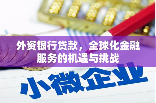 临高外资银行贷款，全球化金融服务的机遇与挑战