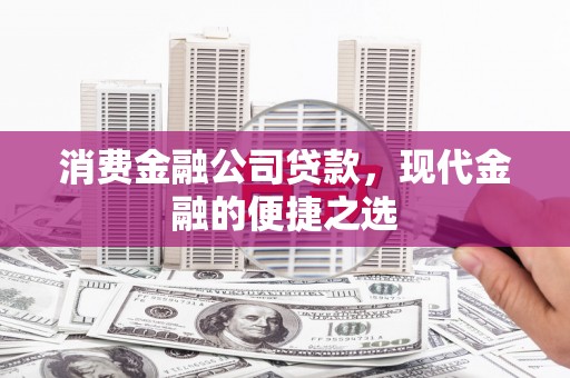 临高消费金融公司贷款，现代金融的便捷之选