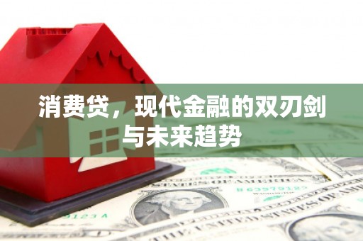 临高消费贷，现代金融的双刃剑与未来趋势