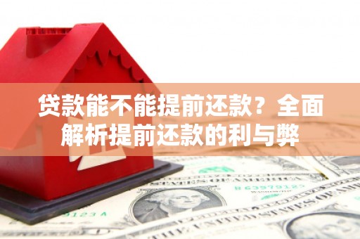 临高贷款能不能提前还款？全面解析提前还款的利与弊