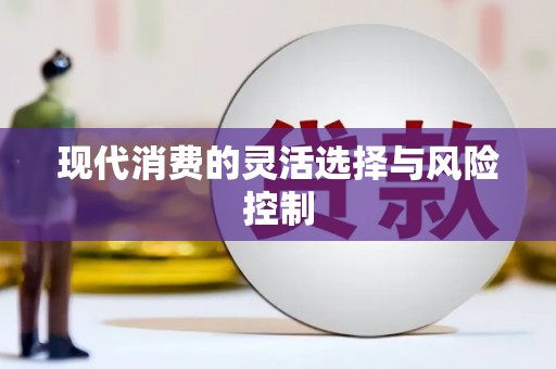临高现代消费的灵活选择与风险控制