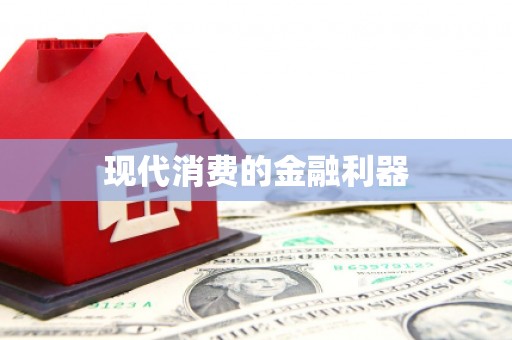 临高现代消费的金融利器