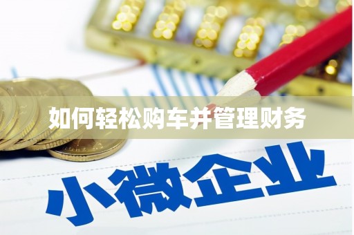 临高如何轻松购车并管理财务