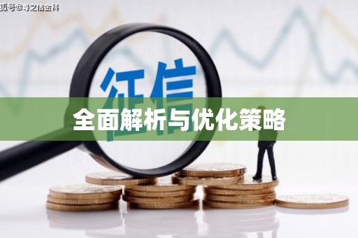 临高全面解析与优化策略