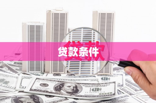 临高贷款条件