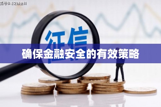 临高确保金融安全的有效策略