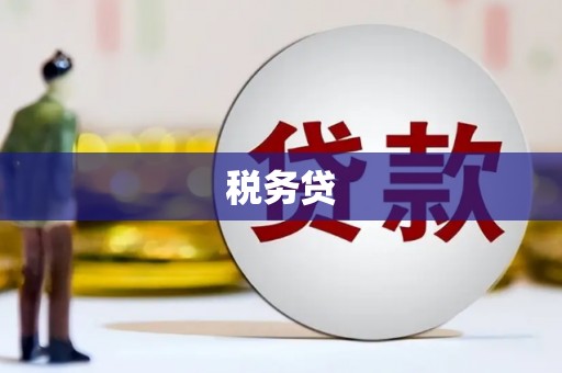 临高税务贷