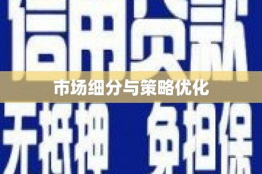 临高市场细分与策略优化