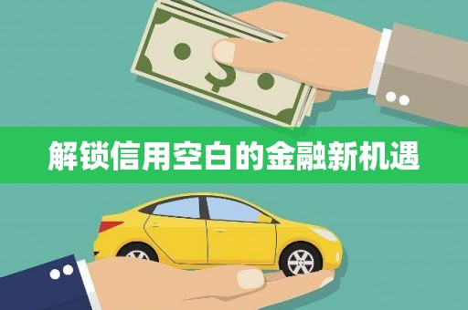 临高解锁信用空白的金融新机遇