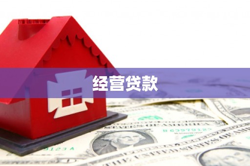临高经营贷款