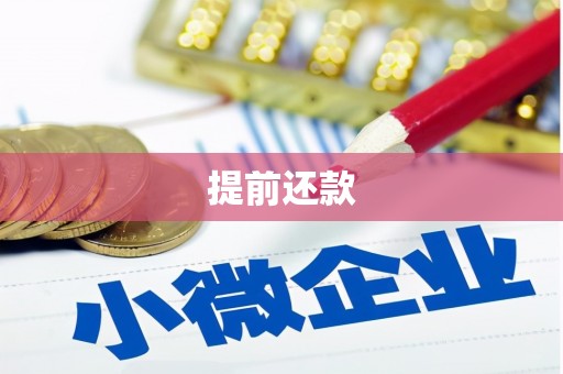临高提前还款