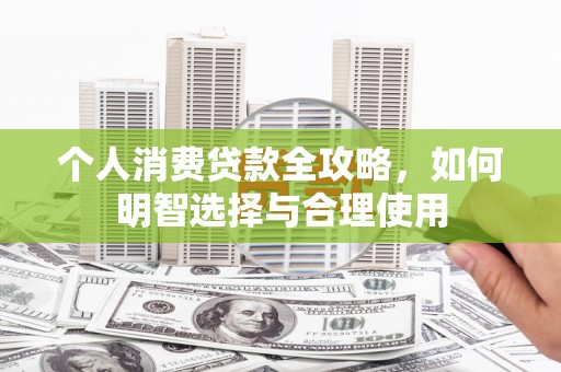 临高个人消费贷款全攻略，如何明智选择与合理使用